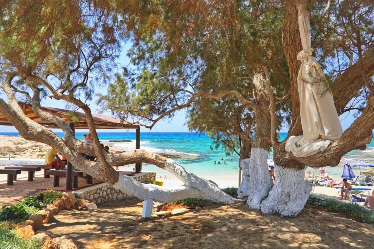 Beachfront Luxury Villa Idania Agia Napa Buitenkant foto